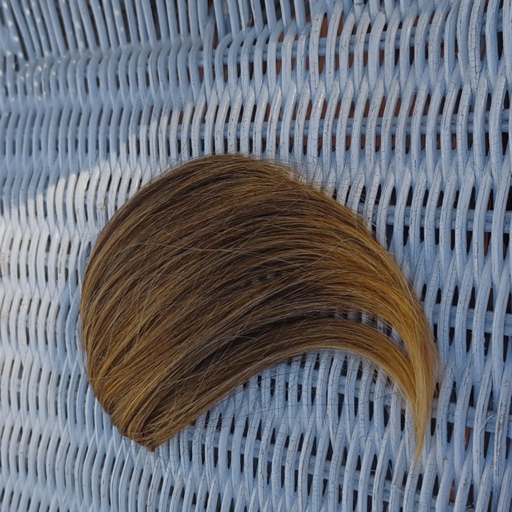 Frosted Side Swept Bang 🐈